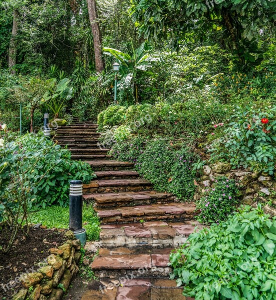 Stone Steps Beautiful Landscape Path Forest Tropical