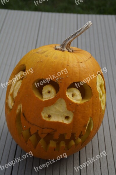 Pumpkin Pumpkin Ghost Halloween Autumn Halloweenkuerbis