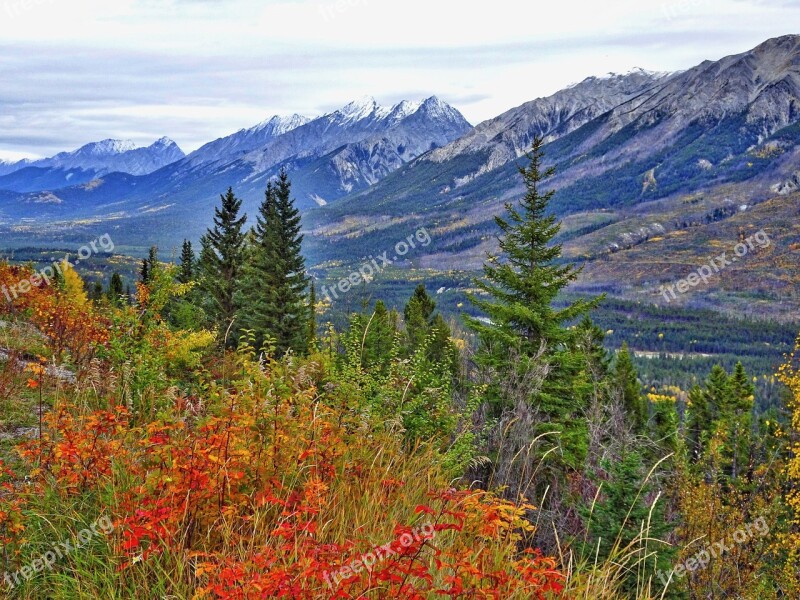 Autumn Mountains Forest Rockies Canada