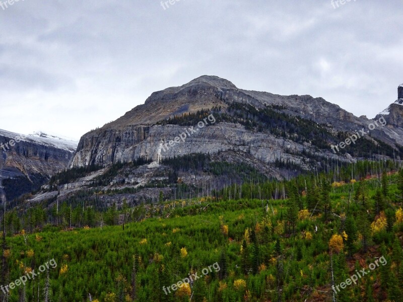 Autumn Mountains Forest Rockies Canada