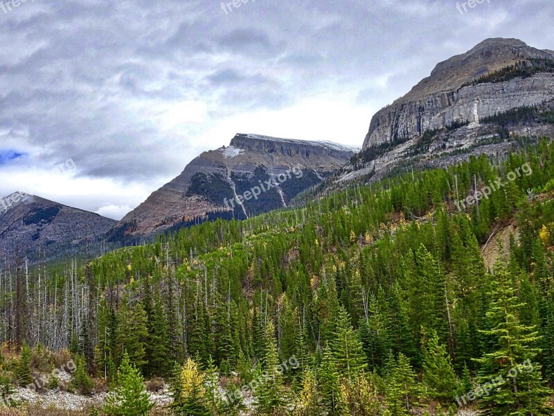 Autumn Mountains Forest Rockies Canada