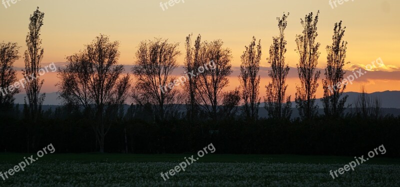 Sunset Autumn Autumn Mood Free Photos