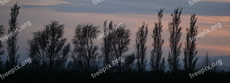 Autumn Pastellfarben Abendstimmung Free Photos