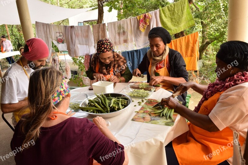 Group Permaculture Volunteer Food Orange