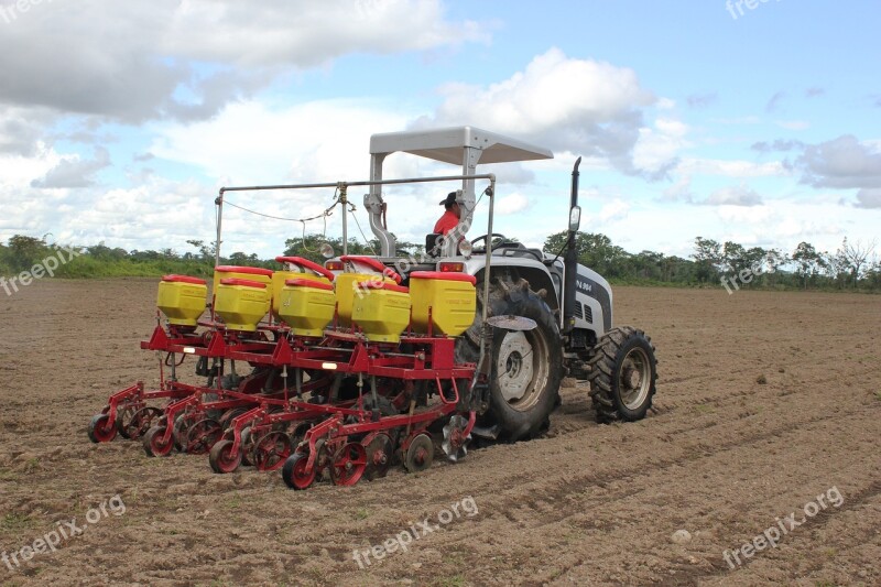 Tractor Planting Cultivation Field Harvest