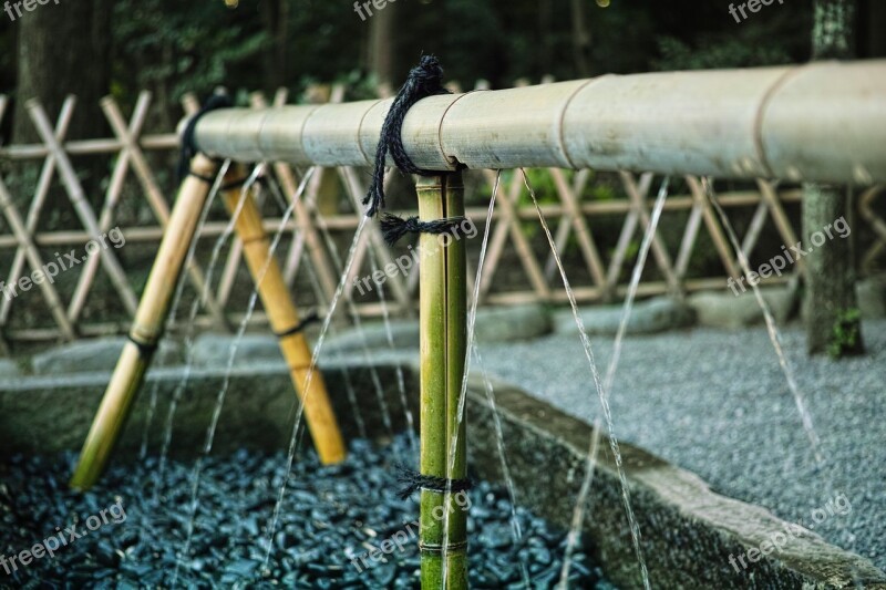 Bamboo Objets D'art Shrine Kamakura Japan