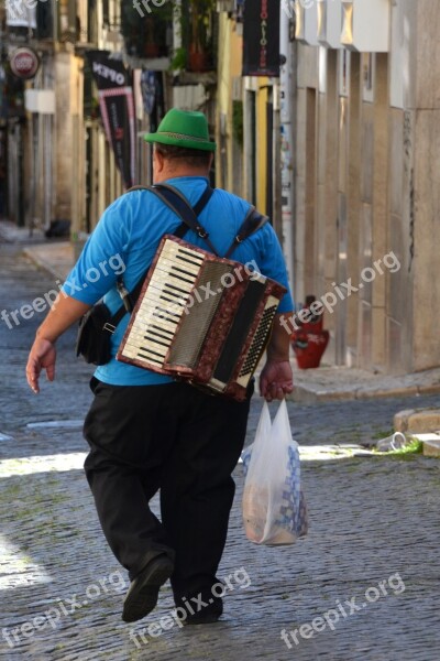 Accordion Musician Music Musical Instrument Instrument