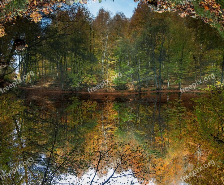 Forest River Kennedy Waterfall November