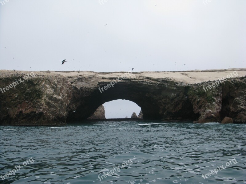 Paracas Pisco Peru Ica Region National Reserve