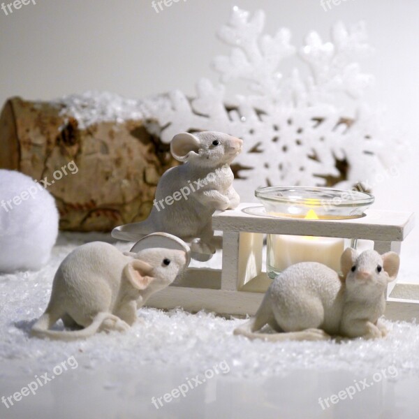 Winter Mouse Advent Snow Christmas