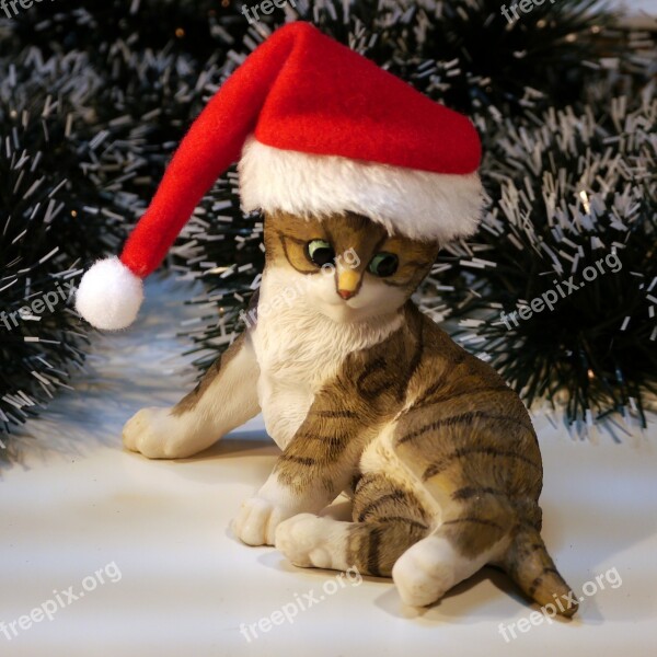 Nicholas Christmas Cat Winter Kitten