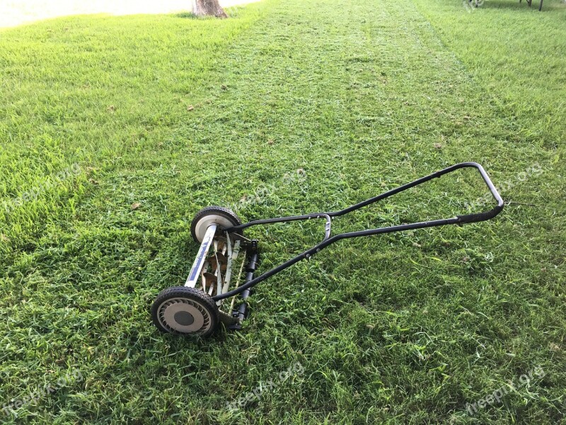 Lawn Lawnmower Green Grass Mower