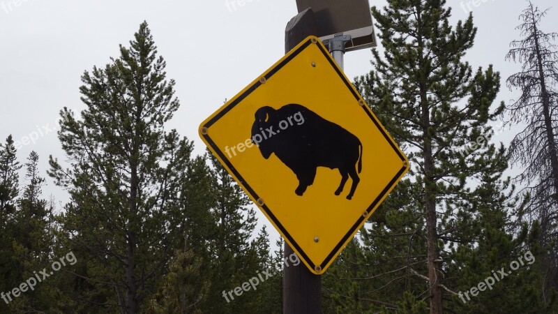 Bison Buffalo Yellowstone Board Warning Sign