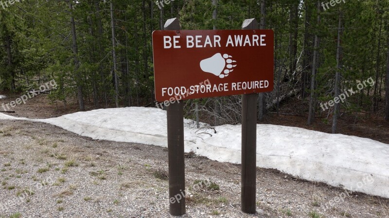 Bears Warning Warning Sign Animals Beasts