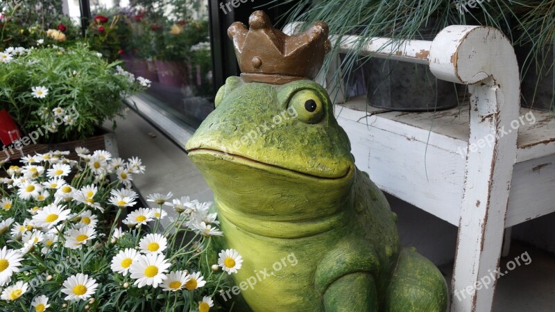 Frog King Prince Frog Prince Fairytale Character