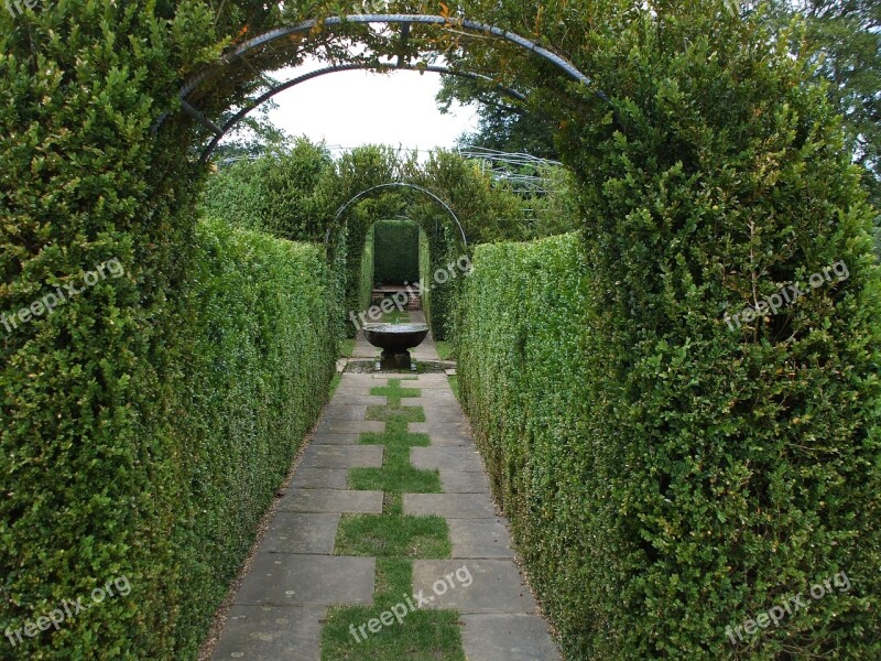 Garden Formal Landscape Ornamental Hedge