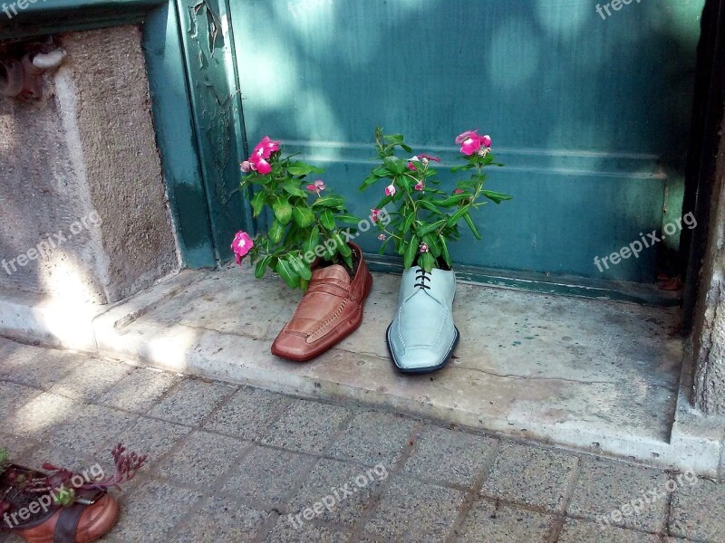 Debrecen Hungary Wallpaper Shoe Ornament Flower Festival