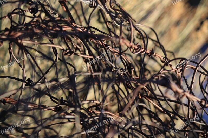 Barbed Wire Barb Fence Symbol