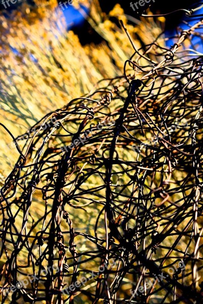 Barbed Wire Farm San Luis Valley Fence Wire