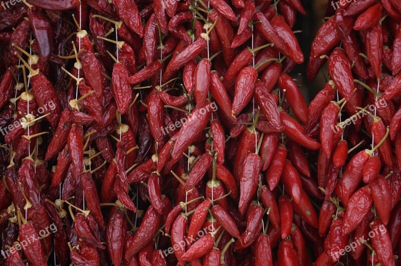 Red Pepper Calabria Food Vegetable