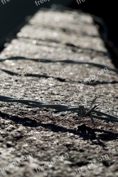 Barbed Wire Wall Wire Danger Forbidden