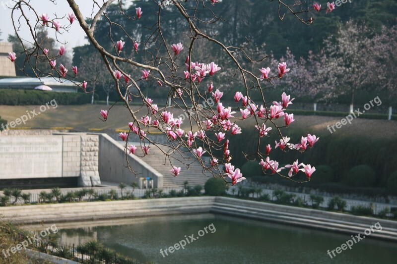 The Terrace Memorial Pool Begonia Spring Cemetery