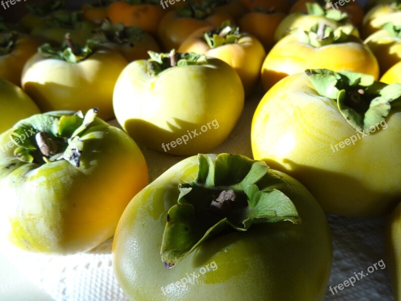 Persimmons Fruit Fresh Healthy Juicy