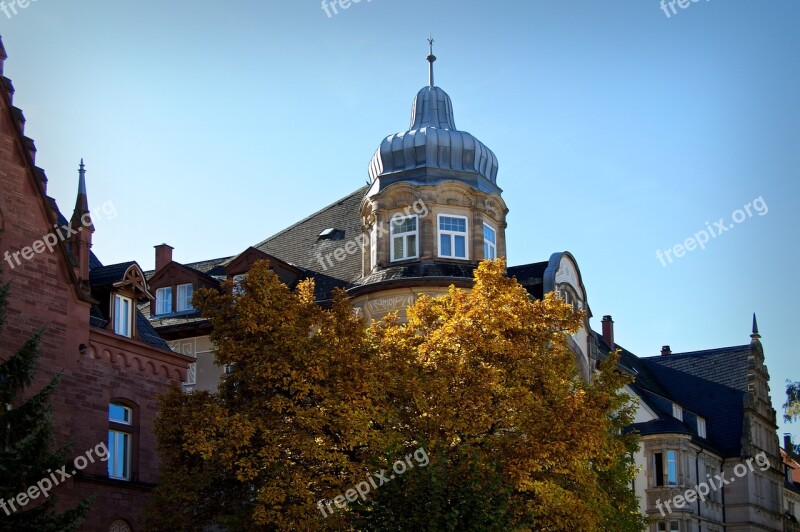 Heidelberg Weststadt Deciduous Tree Autumn Leaves