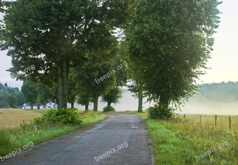 Way The Fog Morning Masuria Poland