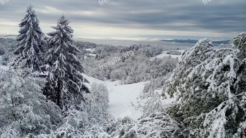 Winter Snow Nature Landscape Trees