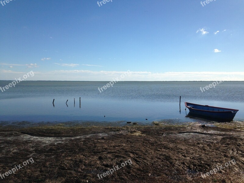 Camargue Pond Boat Water Plan Nature