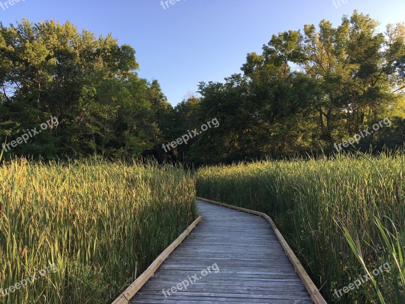 Wetland Boardwalk Westwood Hills Nature Center St Louis Park Minnesota