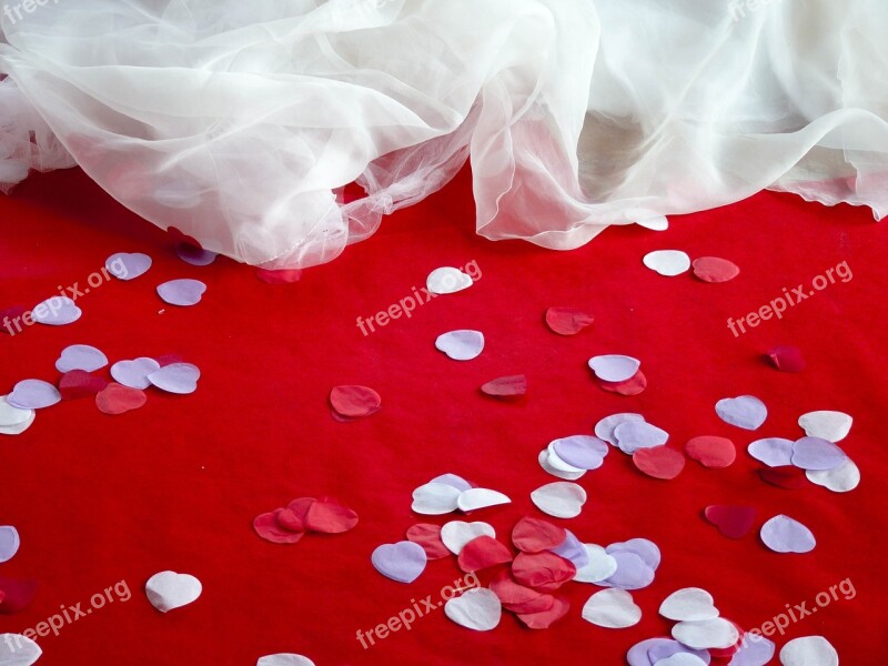 Wedding Petals Decor Confetti Red