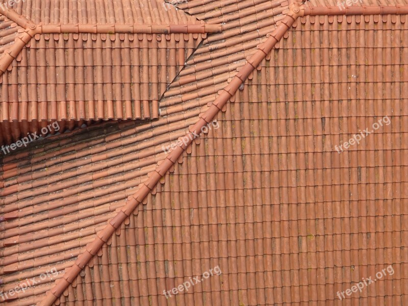 The Roof Of The View Kamienica Superstructure Roof Tiles