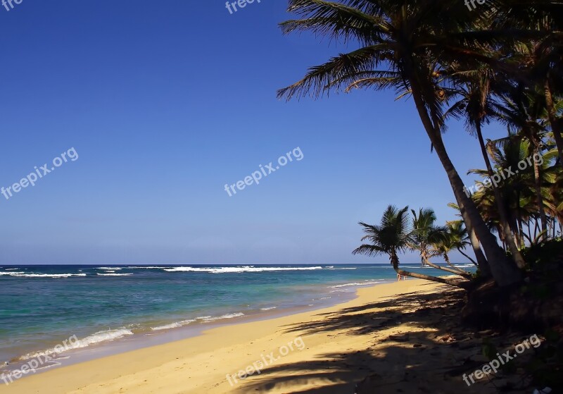 Punta Cana Bavaro Beach Dominican Republic Holiday