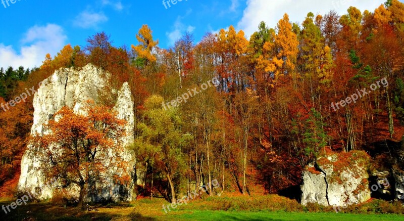 Paternity National Park Poland Landscape Nature Autumn