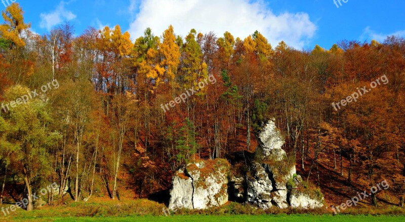 Paternity National Park Poland Landscape Tree Autumn