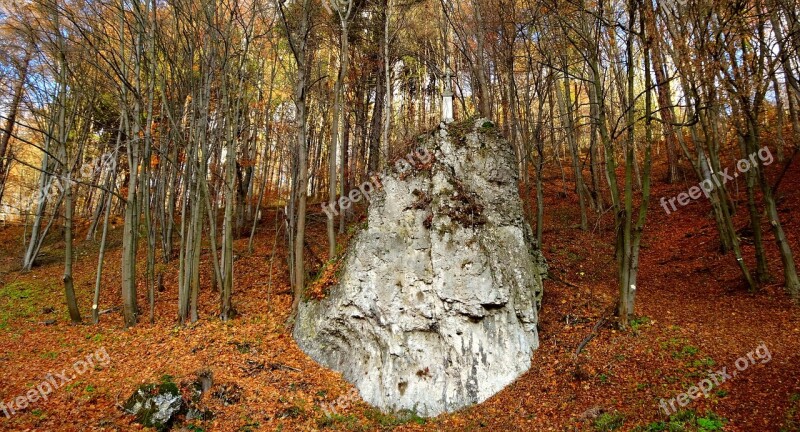 Paternity National Park Poland Landscape Autumn Rocks