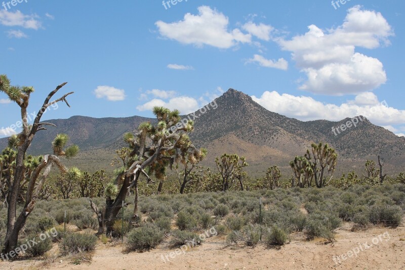 Desert Las Vegas Landscape Grand Canyon Free Photos