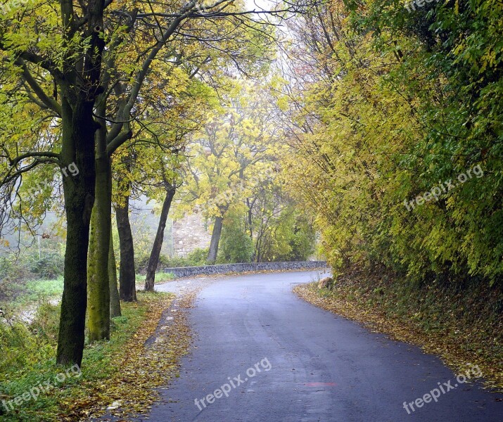 Path Autumn Mountain Road Forest Landscape