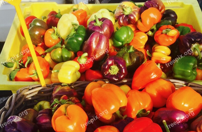 Farmers Market Local Organic Produce Colorful