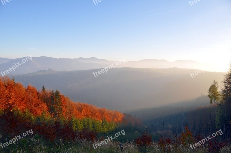 Autumn Autumn Mood Autumn Forest Emerge Evening Sun