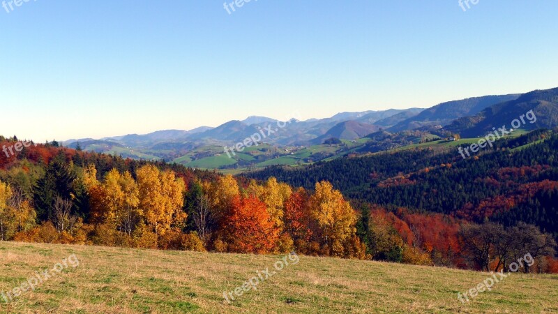 Autumn Autumn Mood Autumn Forest Emerge Fall Color