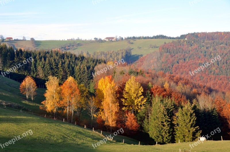 Autumn Autumn Mood Autumn Forest Emerge Fall Color