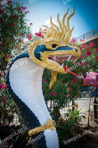 Naga Thailand Mukdahan Free Photos