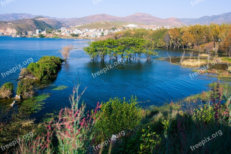 Dali Erhai Lake Trees Views Travel