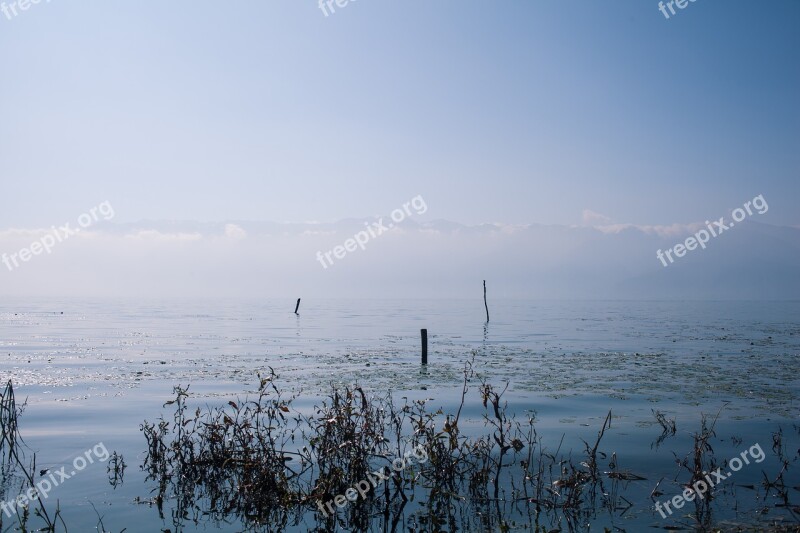 Erhai Lake Aquatic Plants Lake Snow Mountain Free Photos