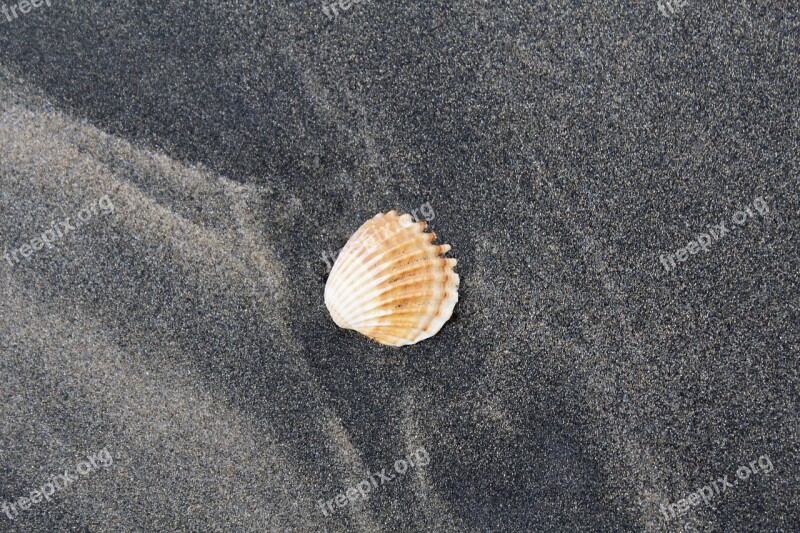 Nature Natural Holiday Sand Sea