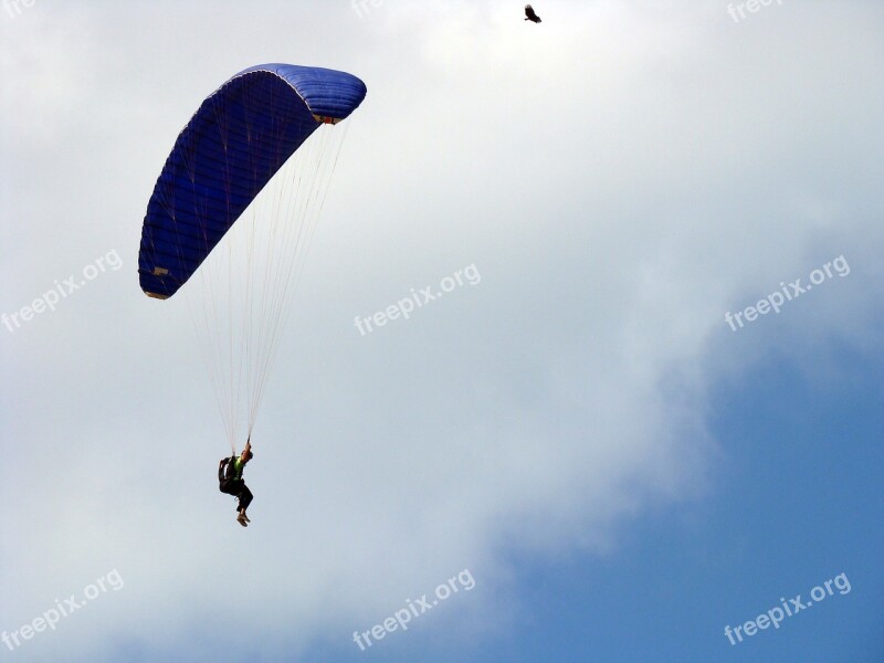 Bird Parachuting Parachute Sky Freedom