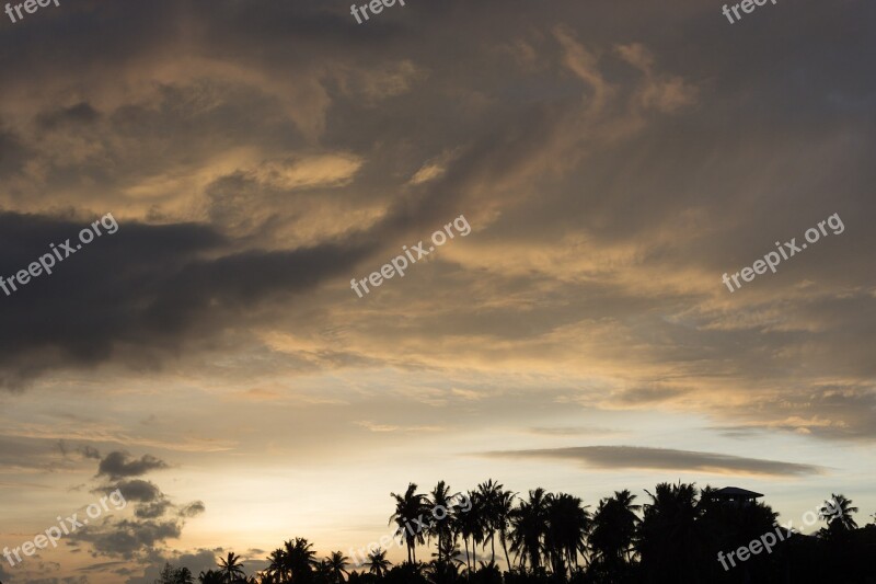 Sky Sunset Palmtree Clouds Rainy Day